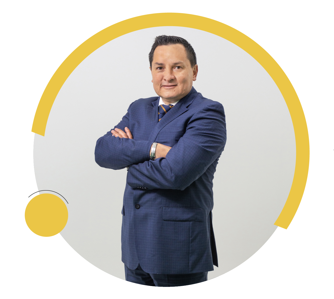 Vicepresidencia de Estrategia
Organización y Control