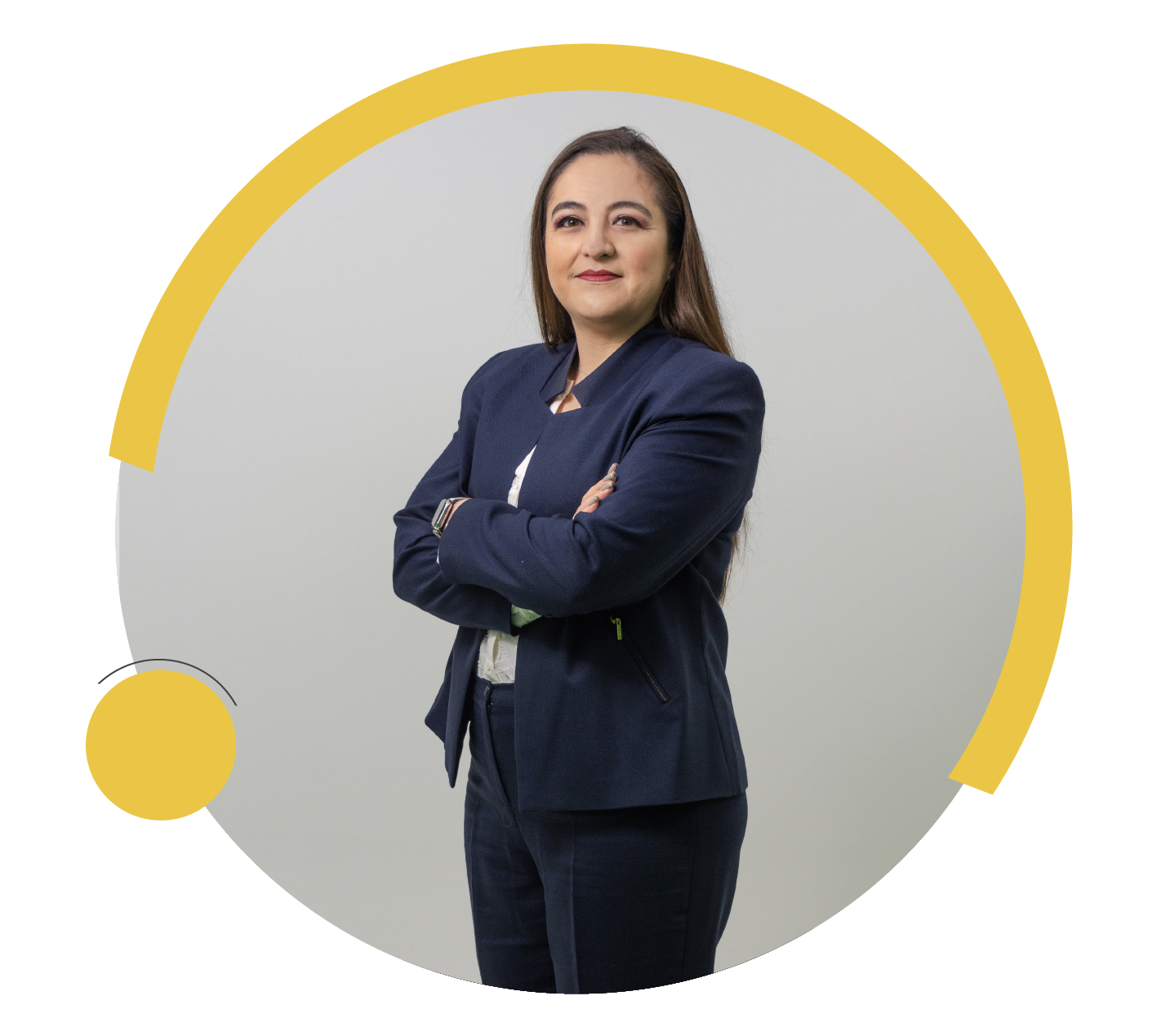 Vicepresidencia de Estrategia
Organización y Control