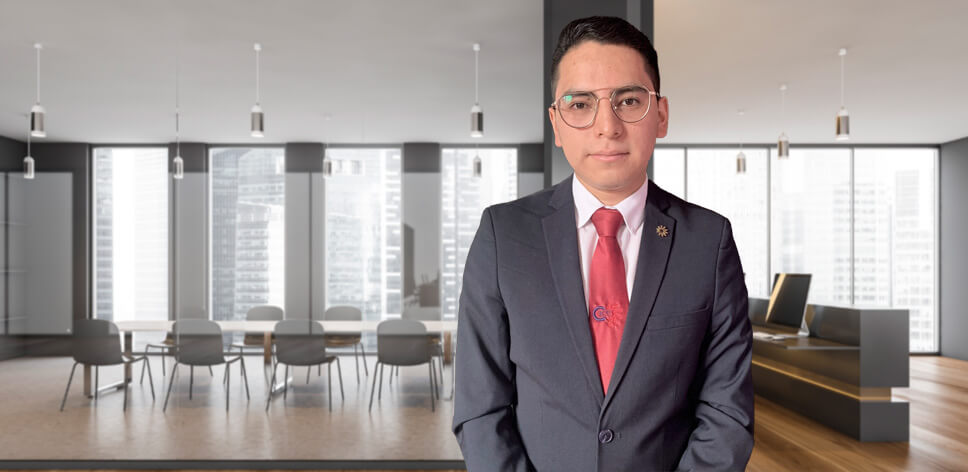 Colegio de Contadores Públicos de México, Gaceta Entre Letras y Números