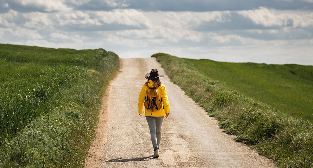 Colegio de Contadores Públicos de México, Gaceta Entre Letras y Números